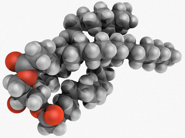 Come eliminare il mal di testa da steroidi per cavalli