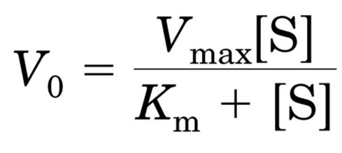 equazione Michaelis-Menten