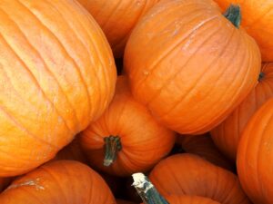 pumpkin-1639126_960_720