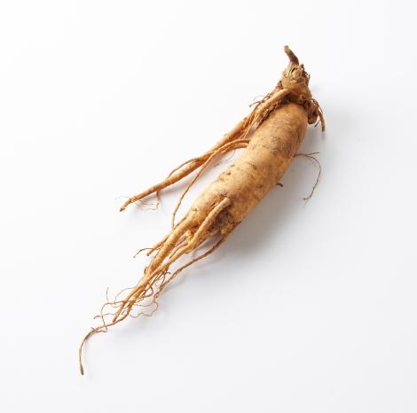 ginseng proprietà benefici radice