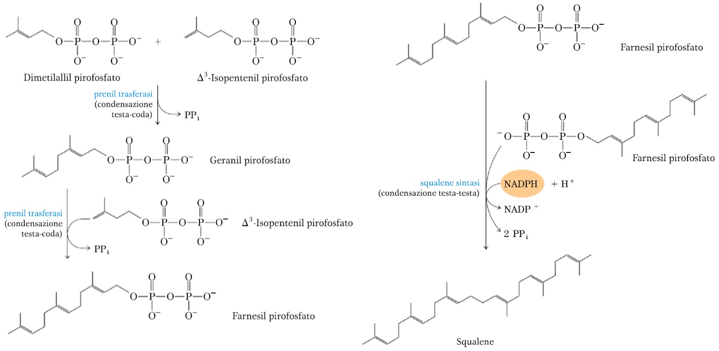 Scopri come iniziare tamoxifen aromatase inhibitor