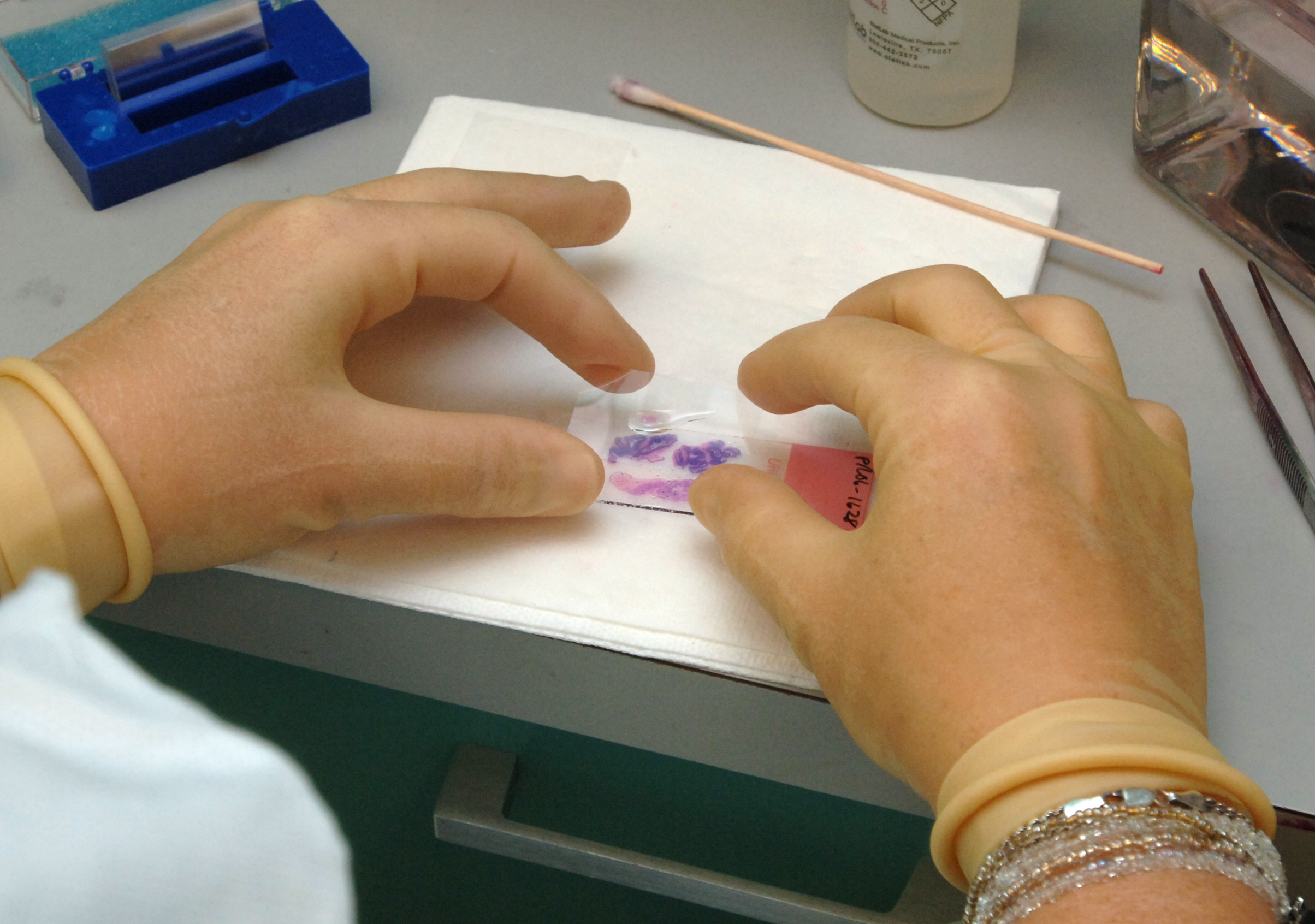 Tissue_processing_-_Stained_section_on_the_slide_is_mounted_under_a_thin_glass_coverslip
