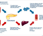 la-farmacologia-del-controllo-glicemico-nel-diabete
