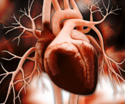 Lo shock cardiogeno: clinica, diagnosi e trattamento choque-cardiogenoo