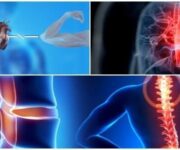 shock-o-choque-neurogenico