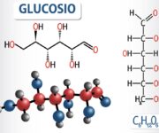 Metabolismo dei glucidi e regolazione ormonale dell'omeostasi energetica glucosio