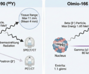 Protocollo di trattamento con radioembolizzazione epatica basato sulle Linee Guida EANM 2022 Confronto ittrio e olmio